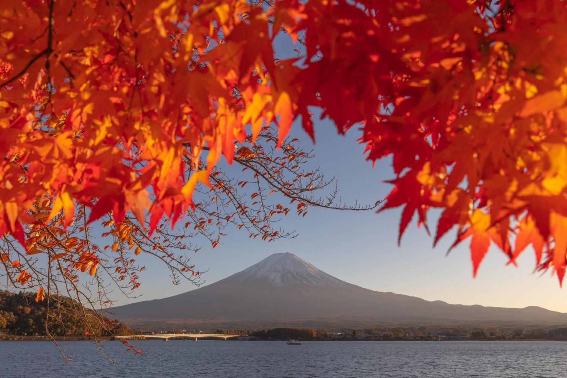 Moonlightvilla 河口湖大橋 富士河口湖町 エクステリア 写真