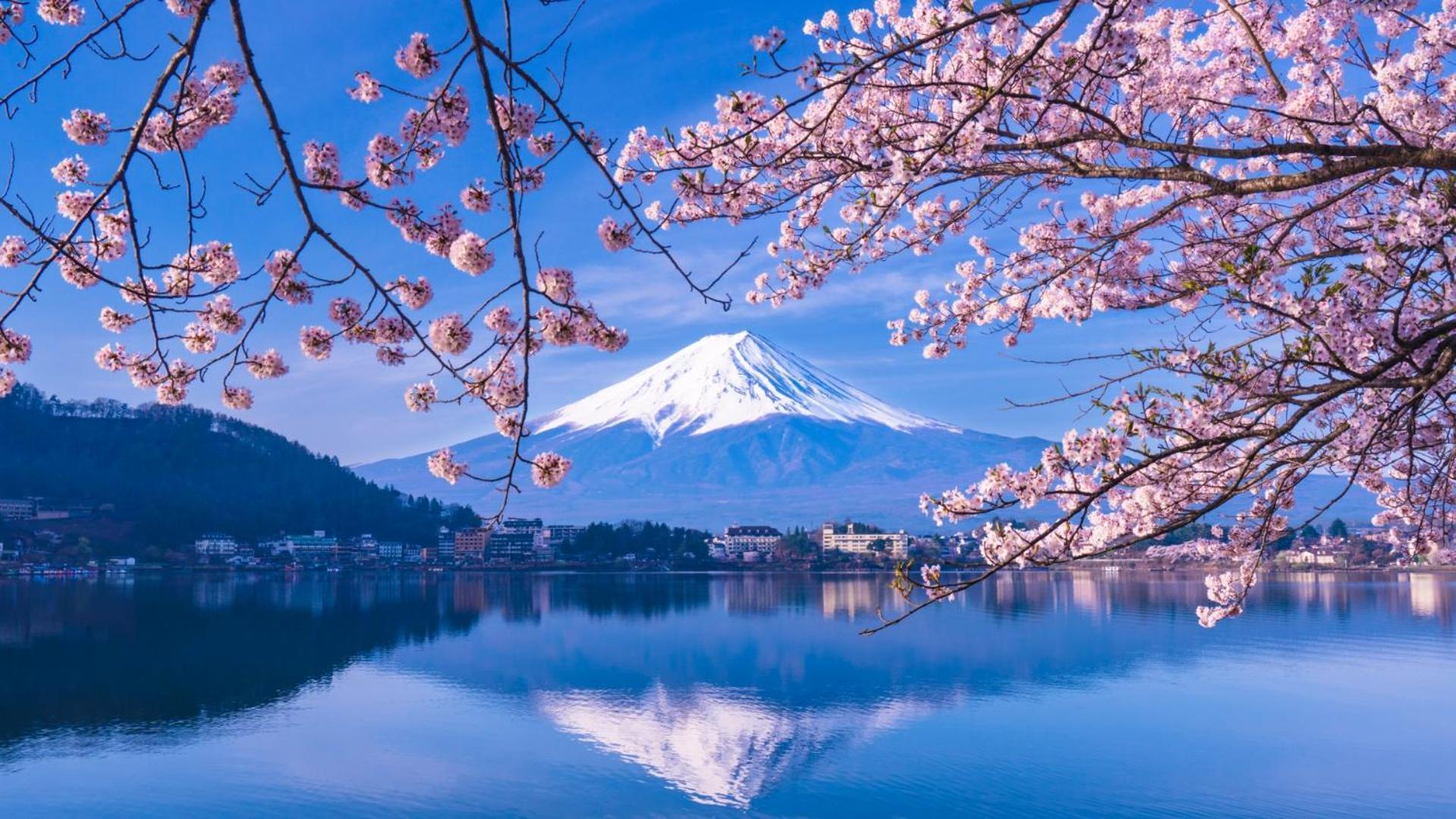 Moonlightvilla 河口湖大橋 富士河口湖町 エクステリア 写真